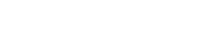 Innovation Scholars Programme